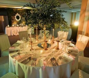 22809896_1591316720932797_1952461697_n